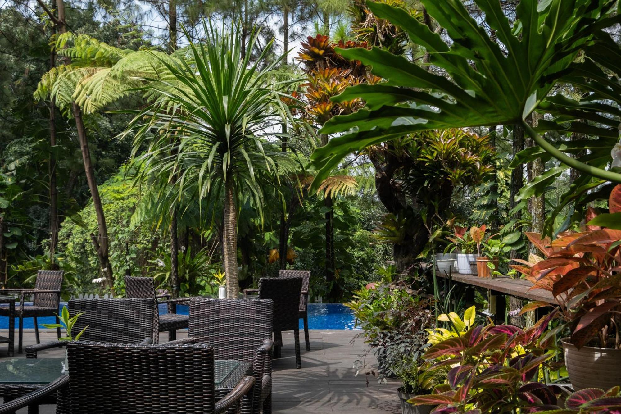 Hotel House Sangkuriang Bandung Zewnętrze zdjęcie